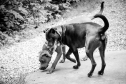 IMG_5357